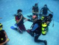 /album/fotogaleria-cursos-padi/piscina-jpg/