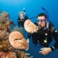 /album/fotogaleria-curso-advanced-open-water-diver/pal05-1096-divsnautilus-jpg/