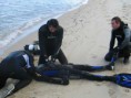 /album/fotogaleria-curso-rescue-diver/lizard-rescue-1-250504-jpg/