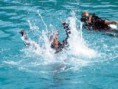 /album/fotogaleria-curso-rescue-diver/rescue-jpg/